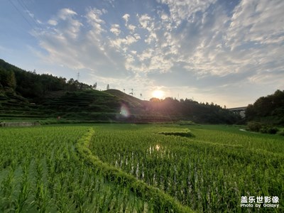 田園風(fēng)光