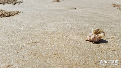 【走進(jìn)夏天】+很有夏天的感覺