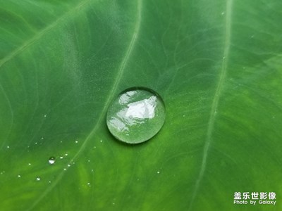 雨