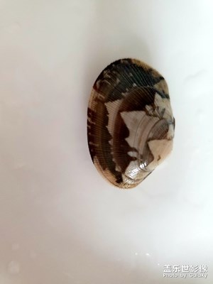 不經(jīng)意間才是最美好的