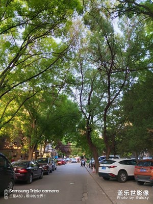 三星A60行攝記二