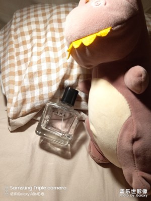 睡眠當(dāng)然要有香香和恐龍啦