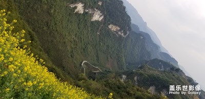 雖然已經(jīng)過(guò)了油菜花的季節(jié)，但是還是分享給大家