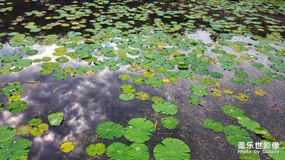【走進夏天】+景致