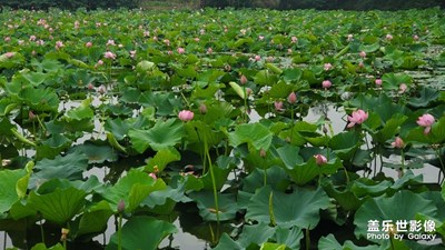 江蘇南京國(guó)際慢城