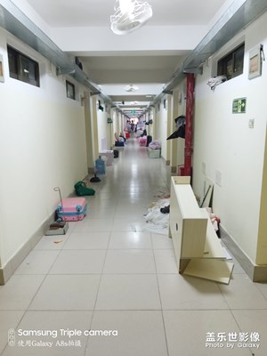 匆匆忙忙各奔前程，狼藉之中丟下了青春