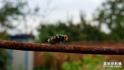 。。。。。。。。。