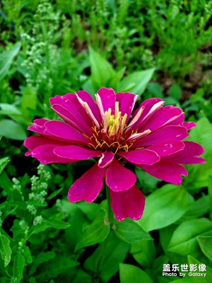 【色彩系列之白色】+非純色