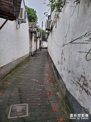 【色彩系列之白色】+

白墻