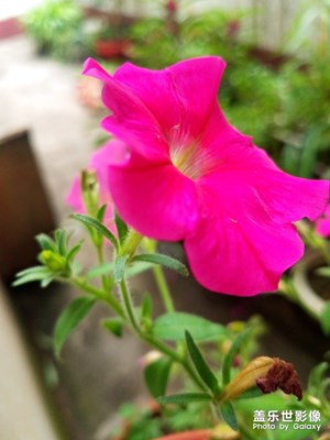 表現(xiàn)好的獎勵