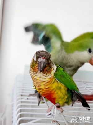 標題留給你們來寫