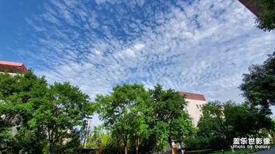 S10無(wú)懼強(qiáng)光