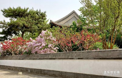 小扣柴扉久不開