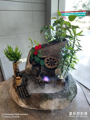 A80新機，拍照效果很好