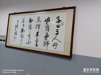 A80新機