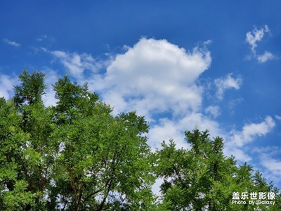 【向往的天空】+驕陽(yáng)似火