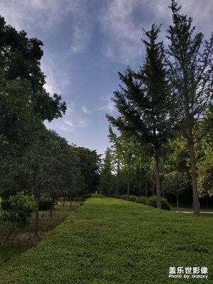 【向往的天空】+城市公園的傍晚