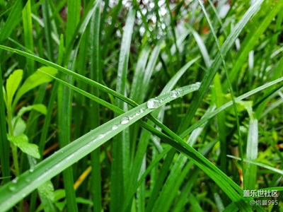 三星S10拍的照片