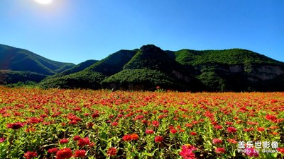 風(fēng)景秀麗九峰山