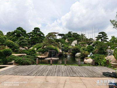 【盛夏光年】+逛花卉園藝場