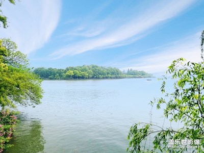 【盛夏光年】+盛夏風景