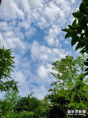 【盛夏光年】+盛夏隨拍