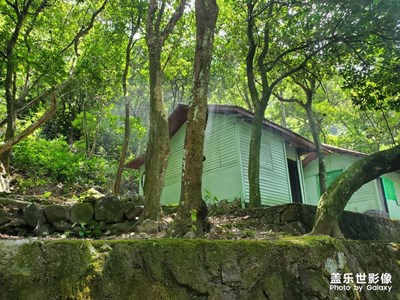 【盛夏光年】隨手拍