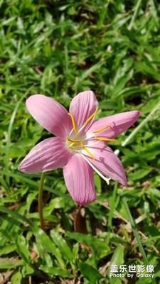 跑步路上的光景