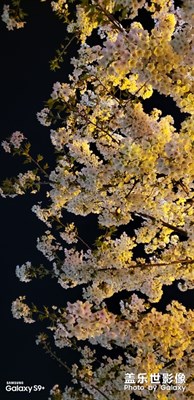 自己的壁紙自己拍（2）