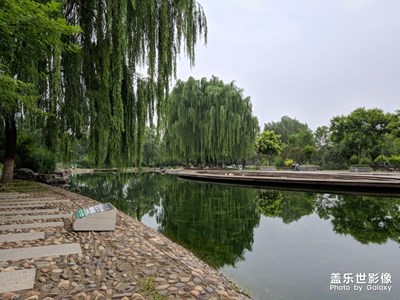 雨后的街頭公園散步