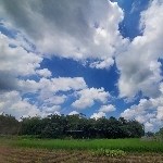 廣角的魅力我也喜歡，……