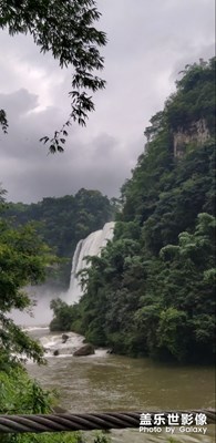 【花開盛夏】+大美黃果樹，無花也成夏