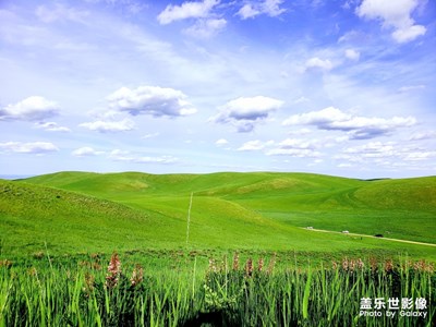 【回首尋美之路】+我和草原有個(gè)約定