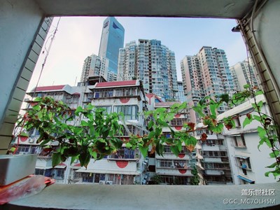 廈門小學(xué)路。