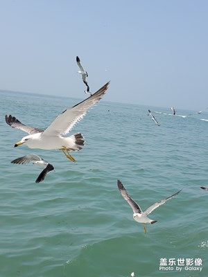 【回首尋美之路】+海上壯闊之美