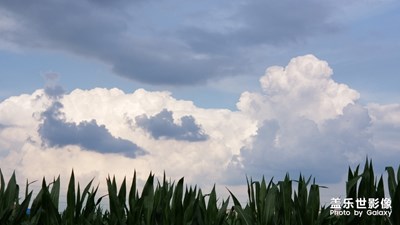 這次感覺很藍(lán)