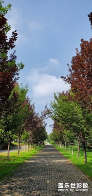 【回首尋美之路】+平凡之路