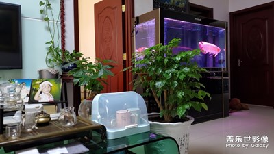 【心水好物】+夏日物語