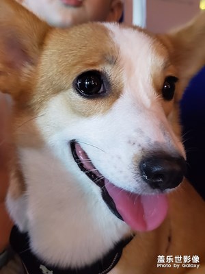 小孩室內(nèi)夜景隨拍