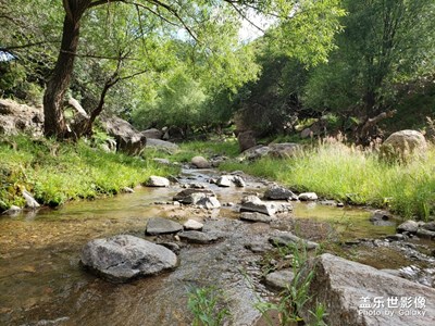 前打車溝山水綠植
