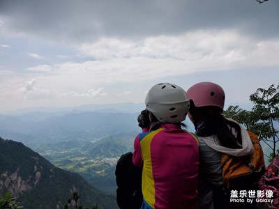 登財(cái)狗狼尖