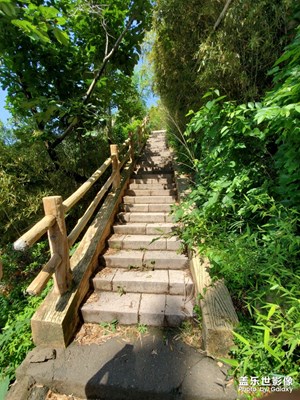 【城市足印】+琴島行