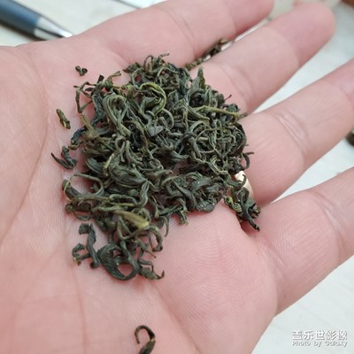 懂茶葉的嗎