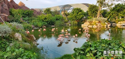 越南芽莊，天藍(lán)，海藍(lán)，海鮮肥
