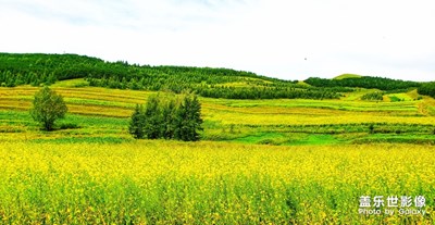 【最夏天】+田園夏日