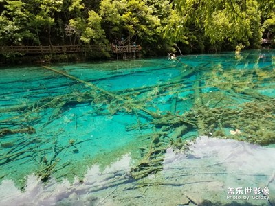 【最夏天】+夏日隨拍