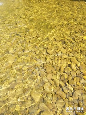 【最夏天】+夏日風(fēng)景