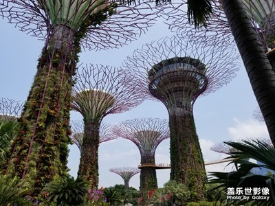 新加坡之行，科幻城市