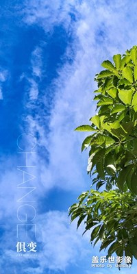 俱變  |  變化的不僅是天氣還有心情（補發(fā)）