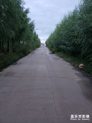 老家環(huán)境